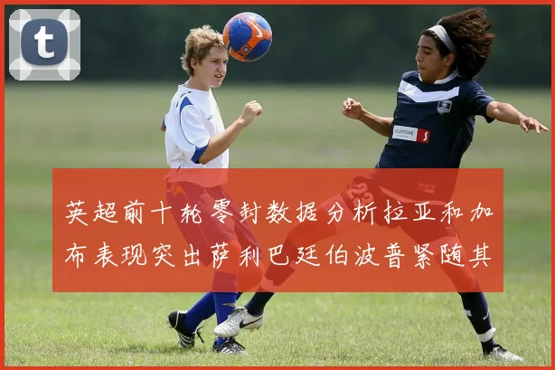 英超前十轮零封数据分析拉亚和加布表现突出萨利巴廷伯波普紧随其后